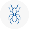 Ant Removals In Tarleton