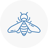 Bee Nest Removal Tarleton