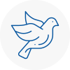 Bird Prevention Tarleton