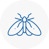 Moth Control Specialists In Tarleton