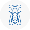 Tarleton Wasp Nest Removal